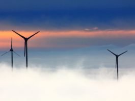 Zero-carbon electricity overtakes fossil fuels in Britain across 2019