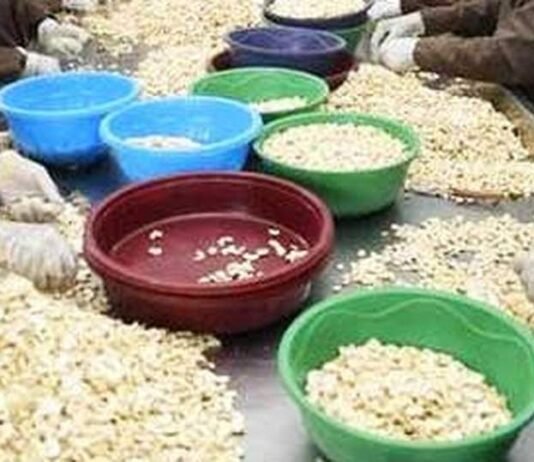 നാനോ ഹൗസ് ഹോൾഡ് യൂണിറ്റുകൾ